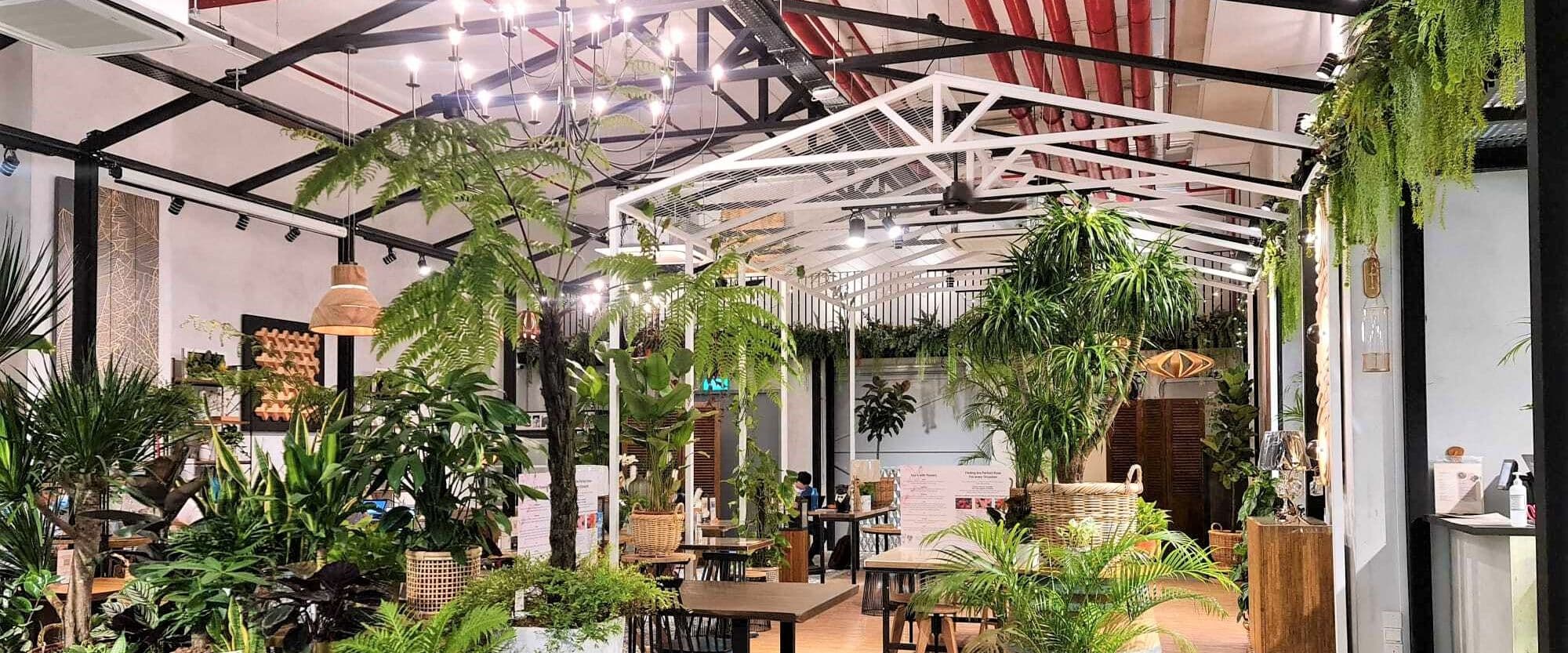 Knots Cafe and Living @ Pasir Panjang